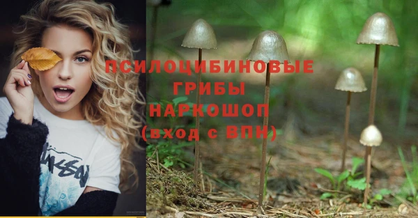 герыч Дмитриев