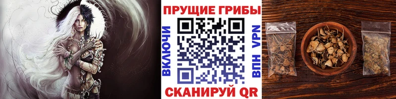 Галлюциногенные грибы Magic Shrooms  купить наркотики цена  Калачинск 